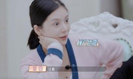 程莉莎爆料王灿视频,背后真相引发热议