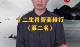 娱乐718吃瓜王大锤,大锤吃瓜，揭秘娱乐圈幕后风云